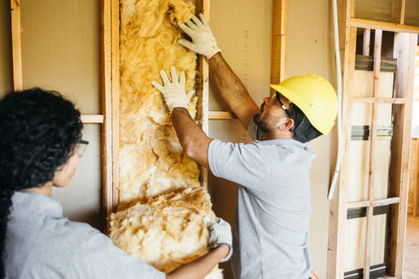 Eco-Friendly Insulation Solutions in Martindale, TX